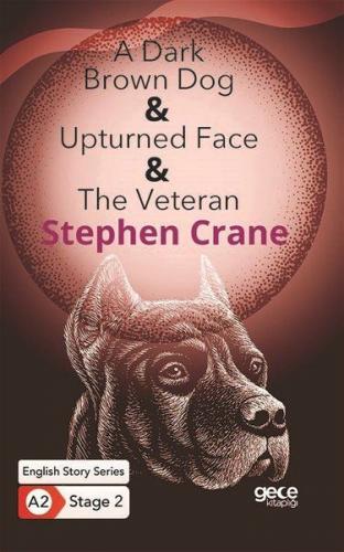 A Dark Brown Dog - Upturned Face - The Veteran - İngilizce Hikayeler A