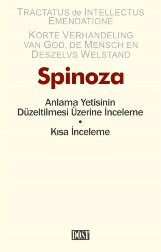 Anlama Yetisinin Düzeltilmesi Üzerine İnceleme