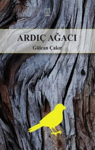 Ardıç Ağacı