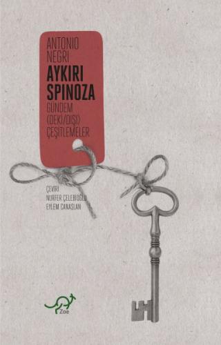 Aykırı Spinoza - Gündem (Deki / Dışı) Çeşitlemeler