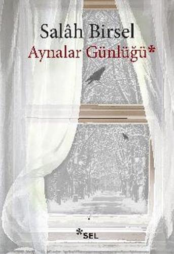 Aynalar Günlüğü