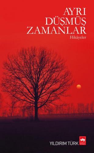 Ayrı Düşmüş Zamanlar / Hikayeler