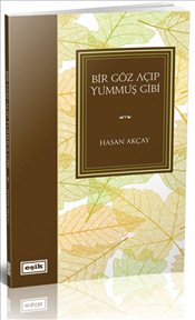 Bir Göz Açıp Yummuş Gibi