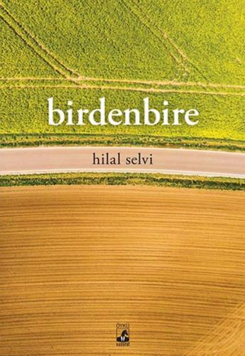 Birdenbire