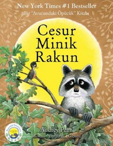 Cesur Minik Rakun