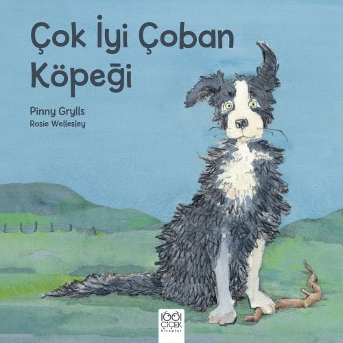 Çok İyi Çoban Köpeği