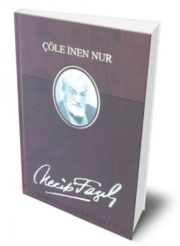 Çöle İnen Nur (Deri Ciltli)