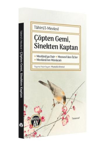 Çöpten Gemi Sinekten Kaptan