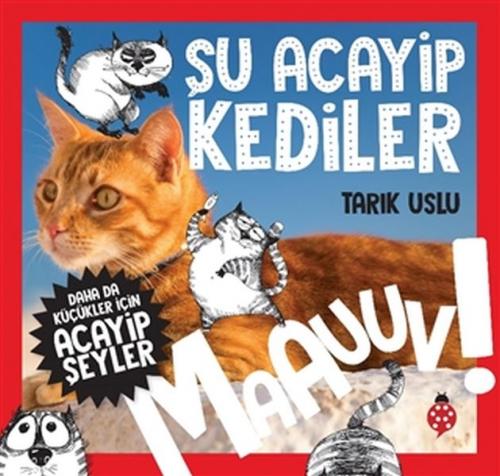 Daha da Küçükler İçin Şu Acayip Kediler - Daha da Küçükler İçin Acayip