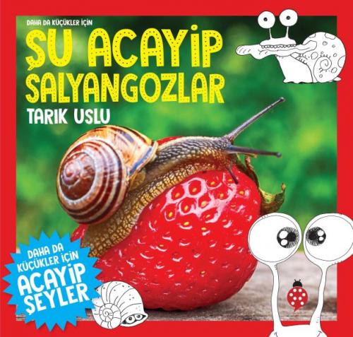 Daha da Küçükler İçin Şu Acayip Salyangozlar