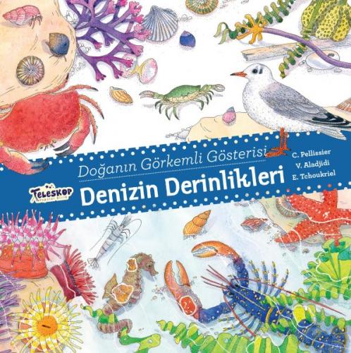 Denizin Derinlikleri - Doğanın Görkemli Gösterisi