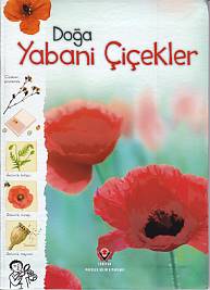 Doğa - Yabani Çiçekler