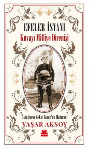 Efeler İsyanı - Kuvayı Milliye Direnişi