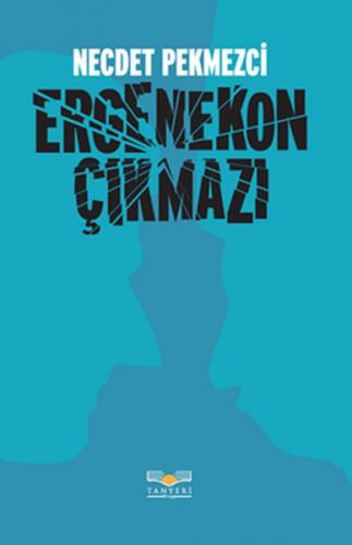 Ergenekon Çıkmazı