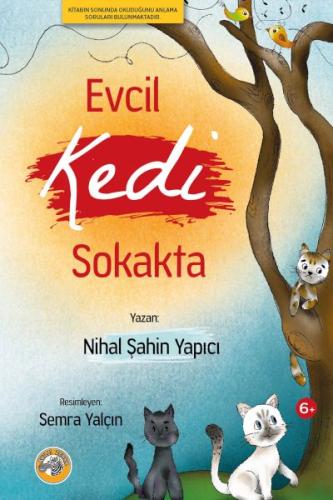 Evcil Kedi Sokakta