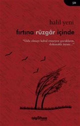 Fırtına Rüzgar İçinde