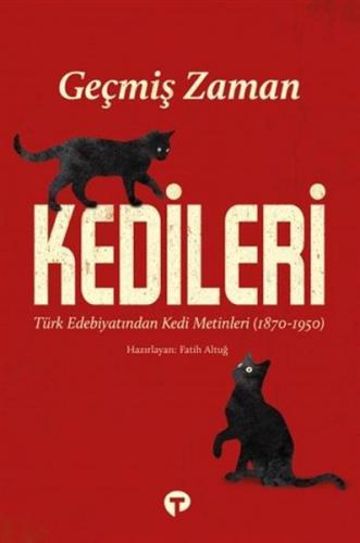 Geçmiş Zaman Kedileri