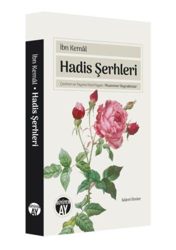 Hadis Şerhleri