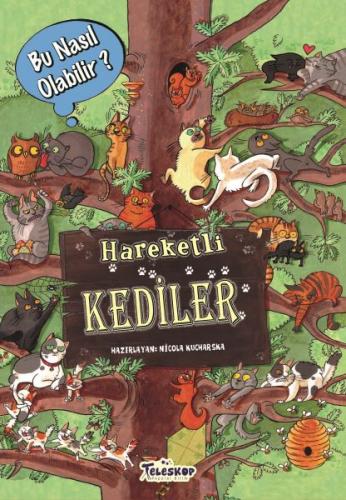 Hareketli Kediler - Bu Nasıl Olabilir?