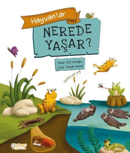 Hayvanlar Nerede Yaşar ?