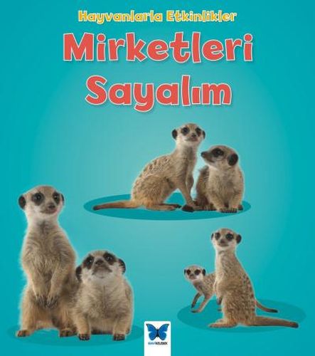 Hayvanlarla Etkinlikler - Mirketleri Sayalım