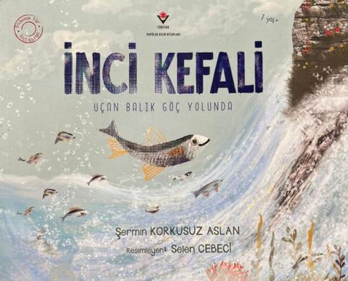 İnci Kefali