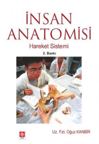 İnsan Anatomisi Hareket Sistemi