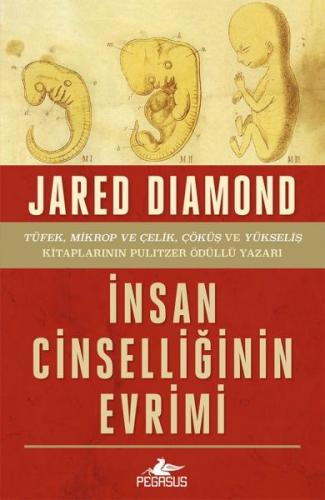 İnsan Cinselliğinin Evrimi - Ciltsiz