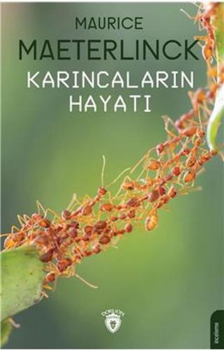 Karıncaların Hayatı