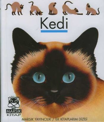 Kedi / İlk Kitaplarım Dizisi