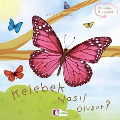 Kelebek nasıl oluşur?