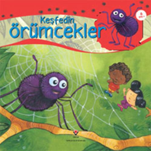 Keşfedin / Örümcekler