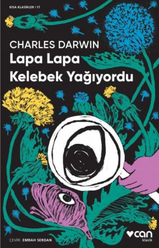 Lapa Lapa Kelebek Yağıyordu