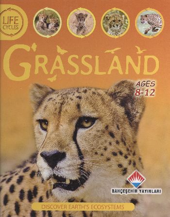 Life Cycles - Grassland (8-12 Ages)