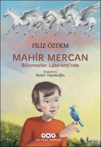 Mahir Mercan - Bilinmezler Labirenti’nde