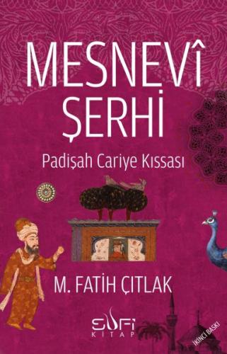 Mesnevi Şerhi