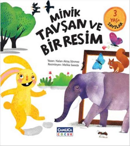 Minik Tavşan ve Bir Resim / Sayılar