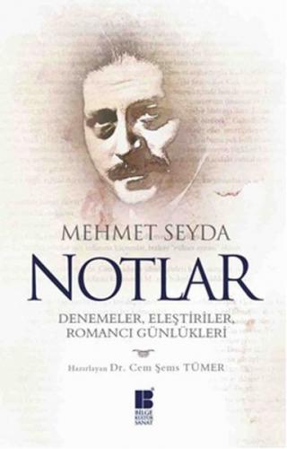 Notlar Denemeler, Eleştiriler, Romancı Günlükleri