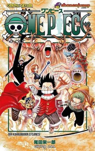 One Piece 43. Cilt