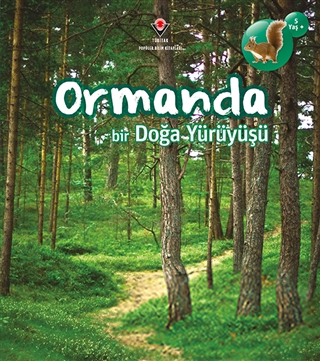 Ormanda Bir Doğa Yürüyüşü