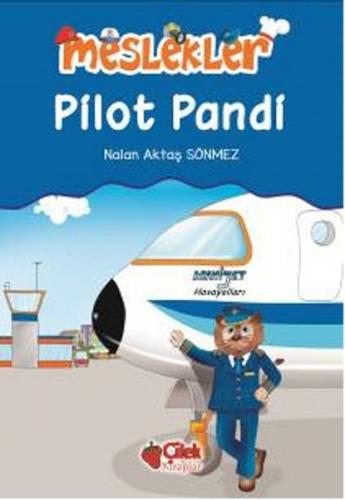 Pilot Pandi / Meslekler