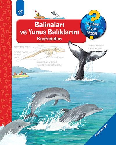 Ravensburger Maksi Balinaları ve Yunus Balıklarını Keşfedelim