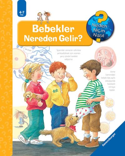 Ravensburger Maksi Bebekler Nereden Gelir?