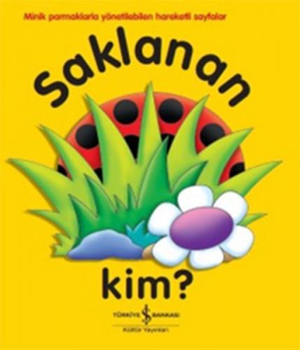 Saklanan Kim?