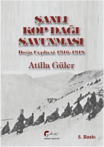 Şanlı Kop Dağı Savunması, Doğu Cephesi, 1916-1918