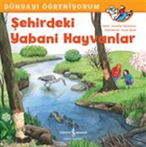 Şehirdeki Yabani Hayvanlar - Dünyayı Öğreniyorum