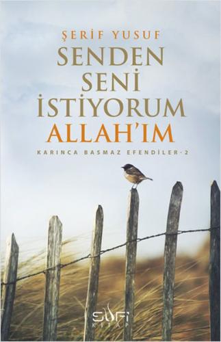 Senden Seni İstiyorum Allah'ım