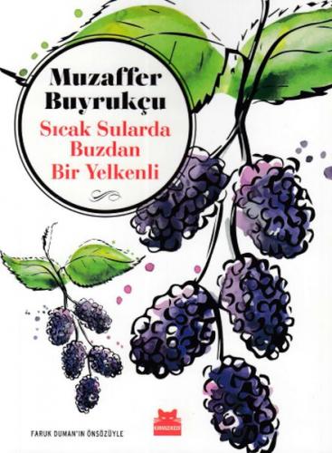 Sıcak Sularda Buzdan Bir Yelkenli