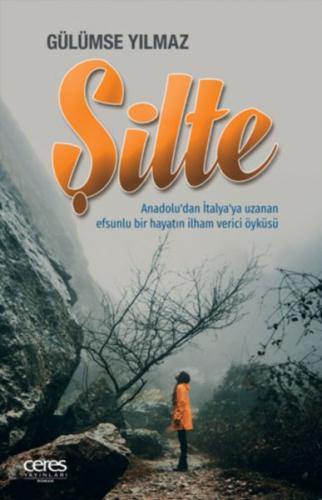 Şilte