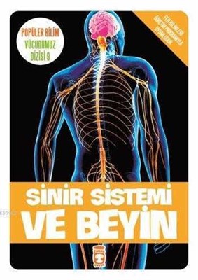 Sinir Sistemi ve Beyin / Vücudumuz Dizisi